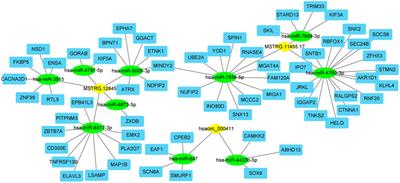 Transcriptomic and Proteomic Profiling of Human Stable and Unstable Carotid Atherosclerotic Plaques